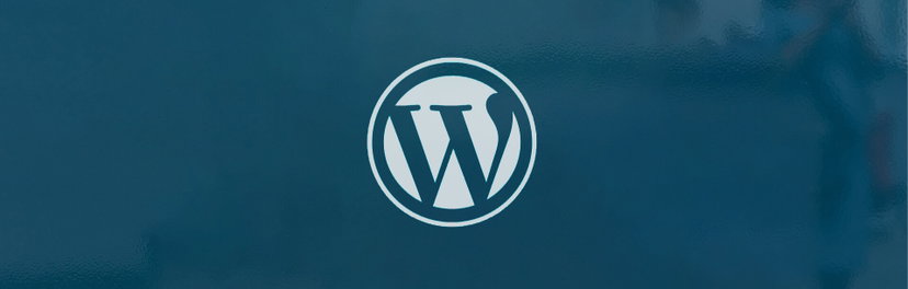 Hire WordPress Developer
