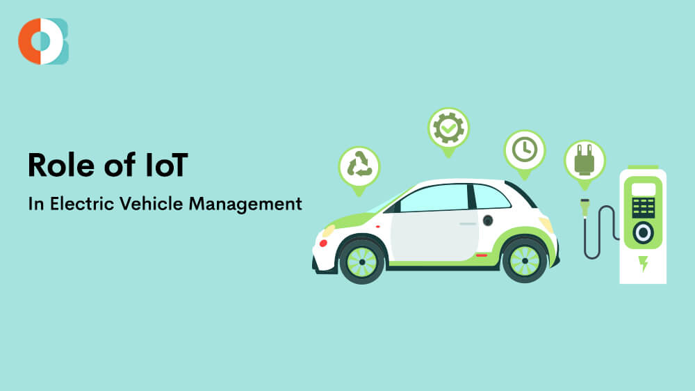 IoT Development Company