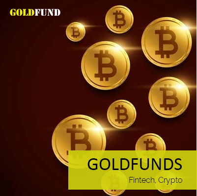 Case Study - Goldfund