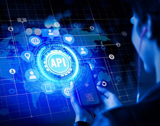 Python API Development and Integration
